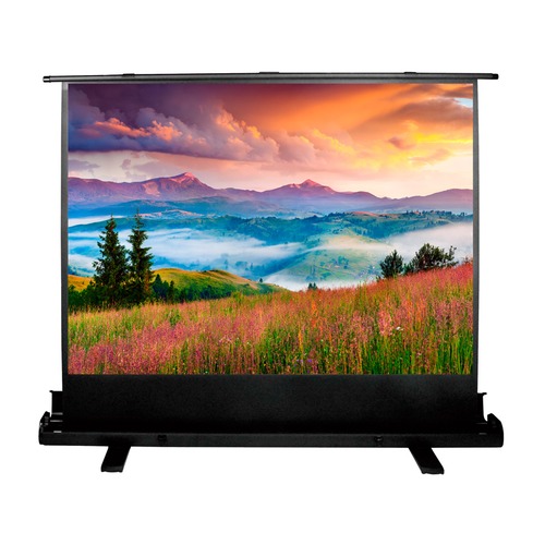 Экран CACTUS FloorExpert CS-PSFLE-120X68, 120х68 см, 16:9, напольный