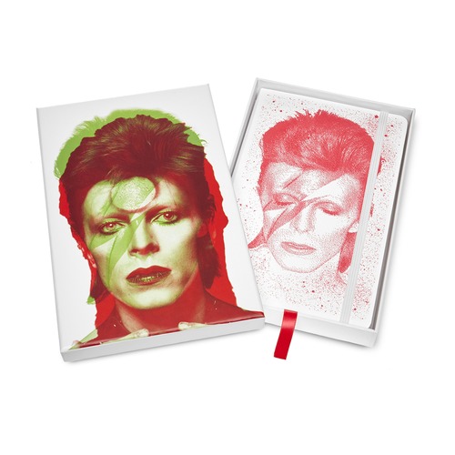 Блокнот Moleskine LE DAVID BOWIE Large 130х210мм 192стр. линейка твердая обложка коллекционный белый