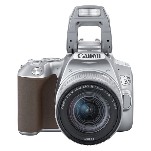 Зеркальный фотоаппарат CANON EOS 250D kit ( EF-S 18-55mm f/1:4-5.6 IS STM), серебристый