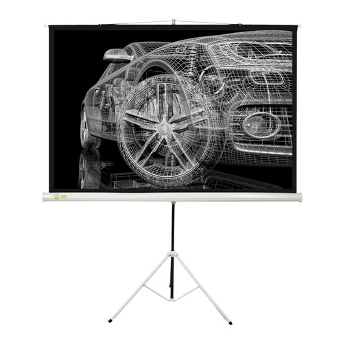 Экран CACTUS Triscreen CS-PST-124x221, 221х124.5 см, 16:9, напольный черный