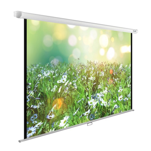 Экран CACTUS WallExpert CS-PSWE-200x200-WT, 200х200 см, 1:1, настенно-потолочный