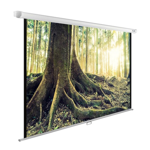 Экран CACTUS WallExpert CS-PSWE-220x220-WT, 220х220 см, 1:1, настенно-потолочный