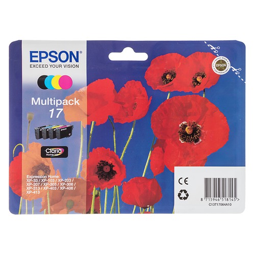 Картридж EPSON T17064, 4 цвета [c13t17064a10]